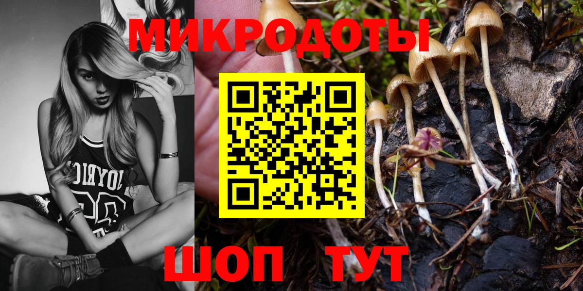 Кизилюрт  Галлюциногенные грибы мухоморы  Вход с VPN 