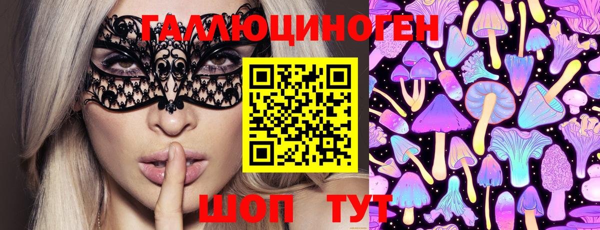 Галлюциногенные грибы Cubensis Кизилюрт