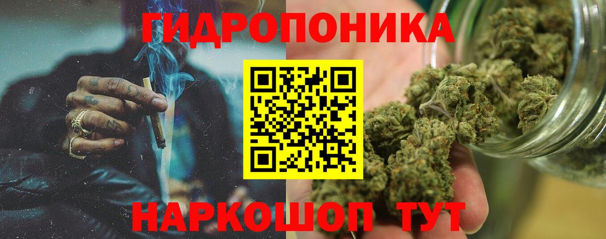 МАРИХУАНА конопля Кизилюрт